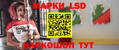 гидропоника Ставрополь