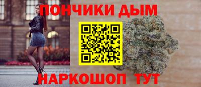гидропоника Ставрополь