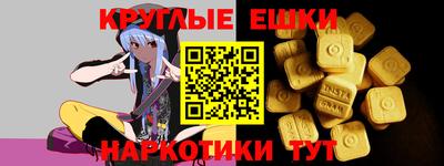 гидропоника Ставрополь