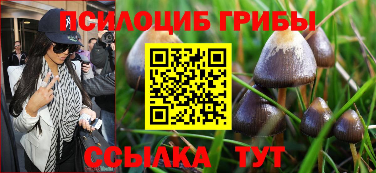 Галлюциногенные грибы мицелий Свободный