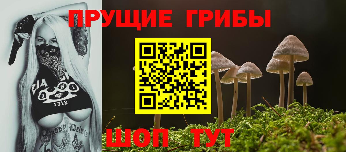 Псилоцибиновые грибы Cubensis  Вход с VPN  Свободный 